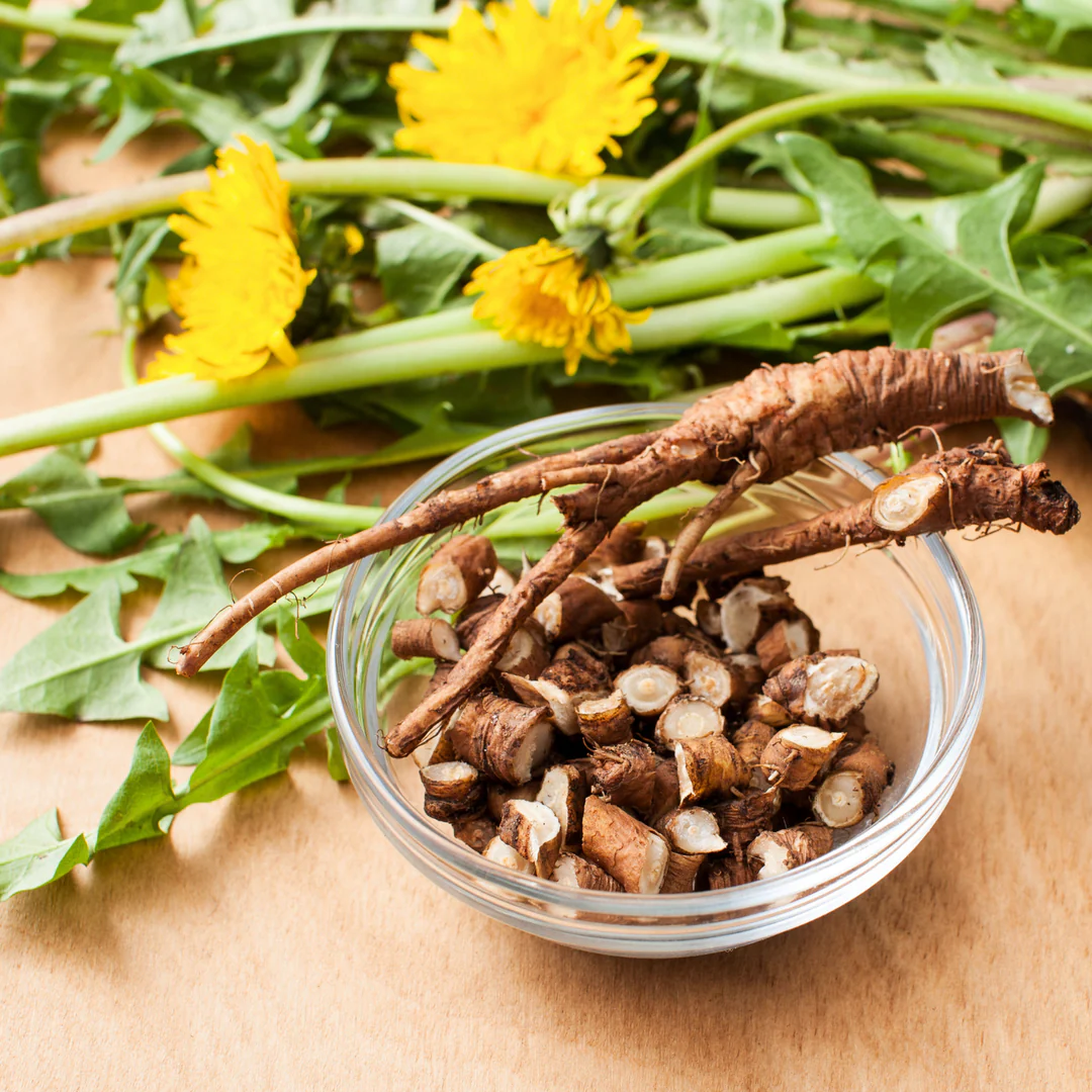 Dandelion Root